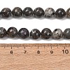 Natural Fluorescent Syenite Rock(Glow under UV Light) Beads Strands GG-NH0012-A01-8mm-4