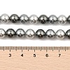 Baking Paint Pearlized Glass Pearl Round Bead Strands PEAR-H019-02C-05-2
