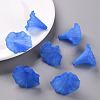 Transparent Acrylic Beads BSF796-C05-8