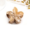 Resin Claw Hair Clips PW-WG0E0E6-12-1