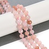 Natural Pink Aventurine Beads Strands G-H057-A07-01-2