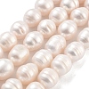 Natural Cultured Freshwater Pearl Beads Strands PEAR-P062-11A-2