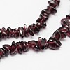 Chips Natural Garnet Beads Strands X-G-N0164-47-2