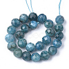 Natural Apatite Beads Strands X-G-S345-8mm-008-2