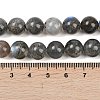 Natural Labradorite Beads Strands G-Z133-A01-10mm-01-5