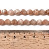 Natural Peach Moonstone Beads Strands G-Z119-A18-01-6