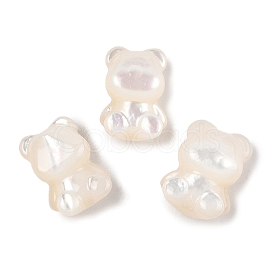 Natural White Shell Beads SSHEL-I026-10-1