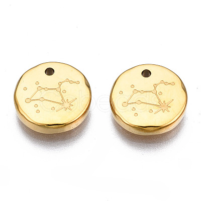 316 Surgical Stainless Steel Charms LS-STAS-S116-418H-G-1