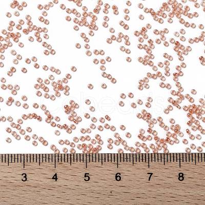 MIYUKI Round Rocailles Beads X-SEED-G009-RR0539-1