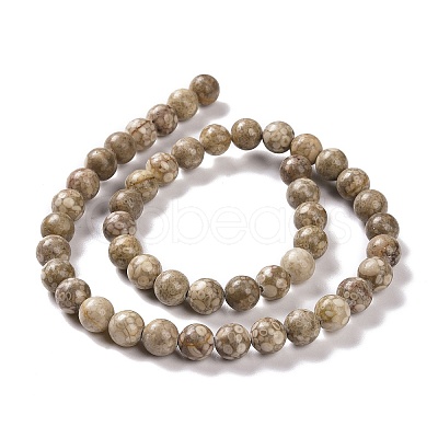 Natural Maifanite/Maifan Stone Beads Strands G-I187-4mm-01-1