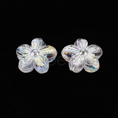 Transparent Acrylic Beads TACR-S154-45C-205-1