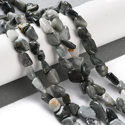 Natural Eagle Eye Stone Beads Strands X-G-P497-01C-52-1
