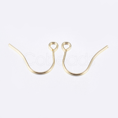 304 Stainless Steel Earring Hooks STAS-P162-13P-B-1
