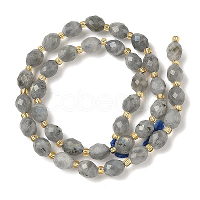 Natural Labradorite Beads Strands G-F809-A47-01-1