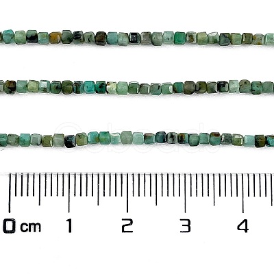 Natural African Turquoise(Jasper) Beads Strands G-A02-02-1