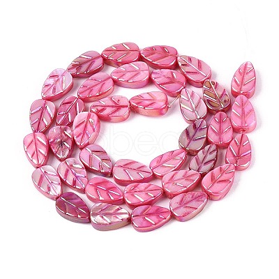 Natural Freshwater Shell Carved Beads Strands SHEL-N038-25E-1