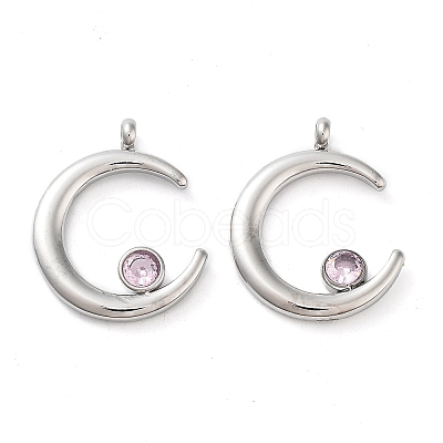 304 Stainless Steel Pendants STAS-L022-380G-02-1
