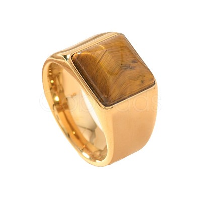 304 Stainless Steel and Natural Tiger Eye Finger Rings FS-WGCBD79-22-1
