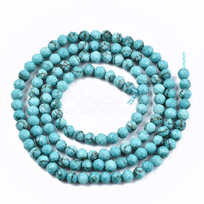 Synthetic Turquoise Beads Strands G-S362-078-1-1
