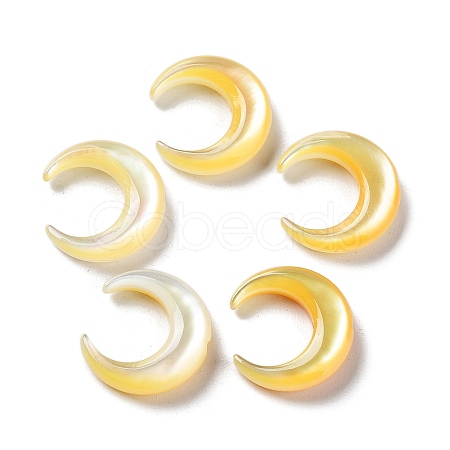 Natural Yellow Shell Beads SHEL-M020-04B-1
