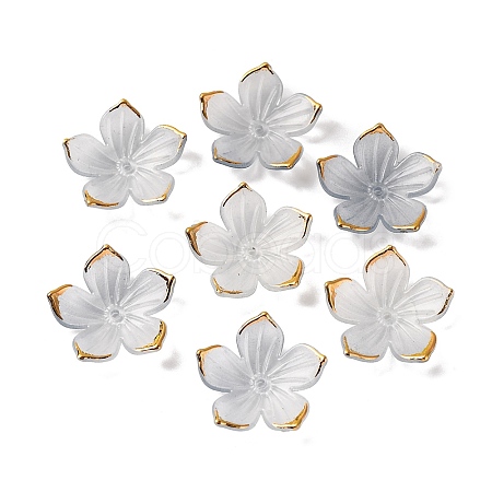 Transparent Acrylic Bead Caps TACR-P011-03D-1