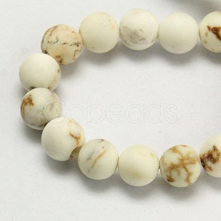 Natural Magnesite Beads Strands TURQ-P027-8mm-18B-1