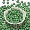 Opaque Colours Glass Seed Beads SEED-C001-03B-05-2