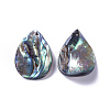 Natural Abalone Shell/Paua Shell Pendants SSHEL-F303-07-2