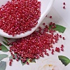 MIYUKI Delica Beads SEED-X0054-DB0162-1
