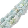 Natural Aquamarine Chip Beads Strands G-M406-A01-1