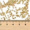 Electroplate Glass Seed Beads X-SEED-S042-01B-12-4