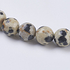 Natural Dalmation Jasper Beads Strands X-G-G515-6mm-06-3