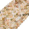 Natural Gemstone Beads Strands G-C116-A59-02-2