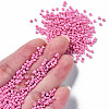 12/0 Glass Seed Beads SEED-S060-A-F448-4