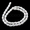 Natural Selenite Beads Strands G-F750-B-21-2