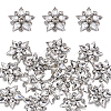 Stainless Steel & Glass Ornaments Accessories AJEW-WH0696-122A-1