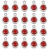 20Pcs Faceted Glass Charms RGLA-TADJ0001-01C-2