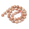 Natural Red Netstone Beads Strands G-U023-A13-01-3