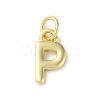 Rack Plating Brass Charms KK-P245-06G-P-1