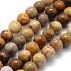 Natural Fossil Coral Beads Strands G-G763-12-8mm-4