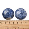 Natural Sodalite Cabochons G-C115-02B-18-3