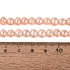 Natural Cultured Freshwater Pearl Beads Strands PEAR-N013-06G-03-5
