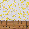 12/0 FGB Grade A Round Glass Seed Beads SEED-N001-A-1001-3
