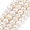 Natural Cultured Freshwater Pearl Beads Strands PEAR-C003-15F-2
