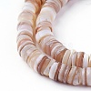 Natural Shell Beads Strands X-SSHEL-E571-49D-1
