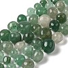 Natural Green Strawberry Quartz Beads Strands G-Q169-E06-01A-1