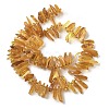 Natural Amber Beads Strands G-L095-D01-05-3