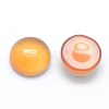 Natural Carnelian Cabochons G-E492-H-03-2