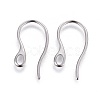 Tarnish Resistant 304 Stainless Steel Earring Hooks STAS-I100-23P-1