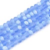 Transparent Glass Beads Strands EGLA-A044-T3mm-MB14-1